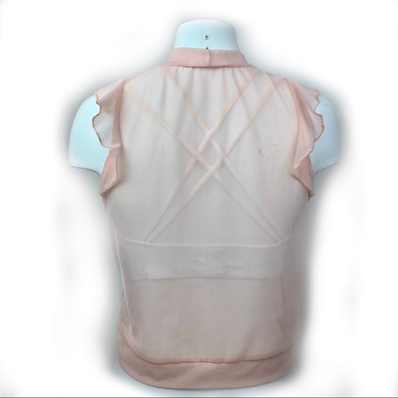 LAVENDER FIELD Sweet Sheer Blush Pink Ruffle Top M - Picture 4 of 7